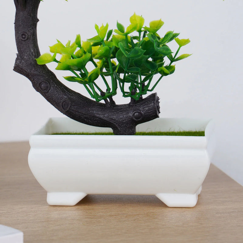 Bonsai com Flores